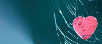 Spider Webbing : Prévenir les pièges d'amour en ligne